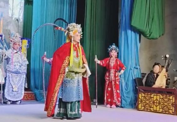 视频实拍